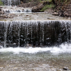 Im Mai im Allgäu (5)